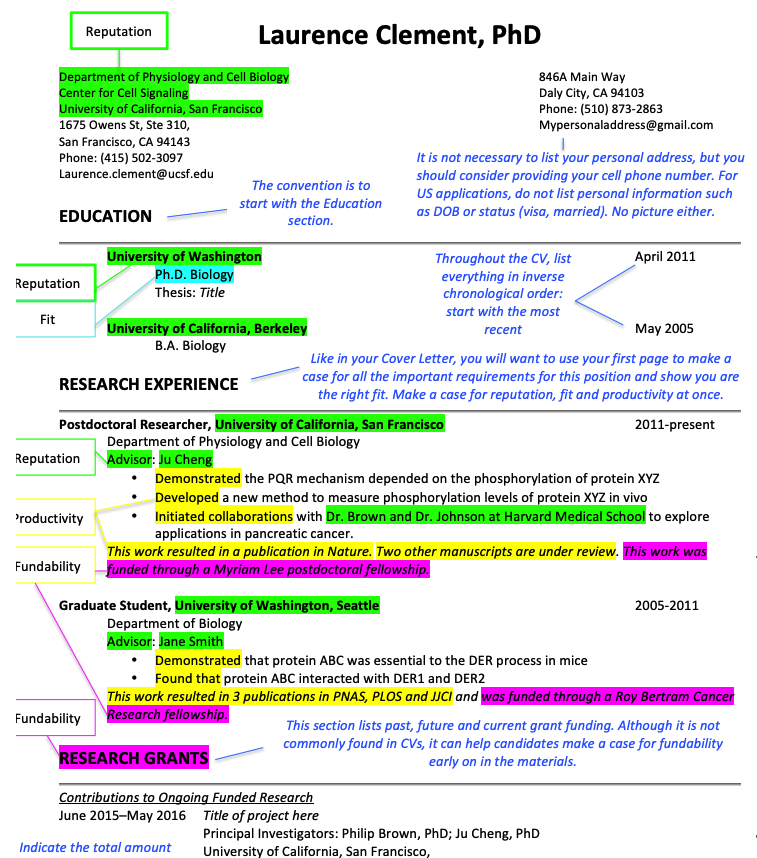 Annotated CV showing line-by-line hiring committee feedback